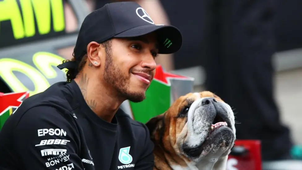 Roscoe was adopted by Hamilton in 2013