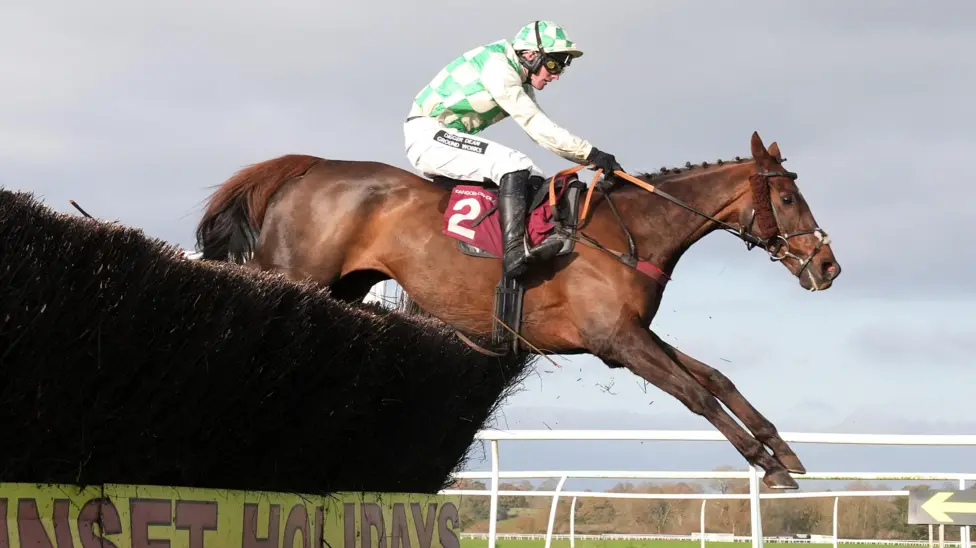 Celebre d'Allen has died at the age of 13