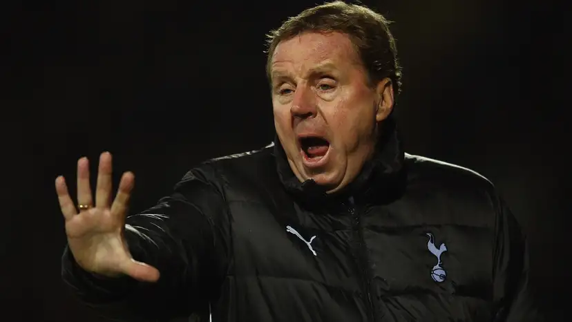 Former Tottenham manager Harry Redknapp was left “stunned” after seeing a boat crash into the garden of his Sandbanks mansion.