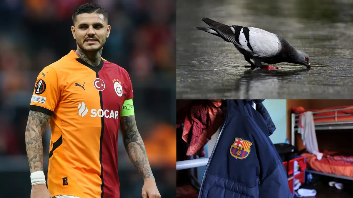 Sergi Gomez has claimed he saw Mauro Icardi kill a pigeon with a slingshot and then eat it during their time in Barcelona's famous academy.
